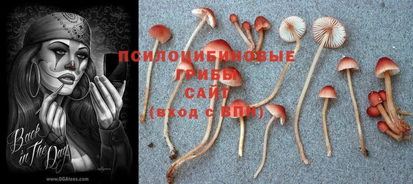 молекула духа Зеленодольск