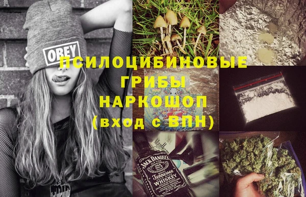 молекула духа Зеленодольск