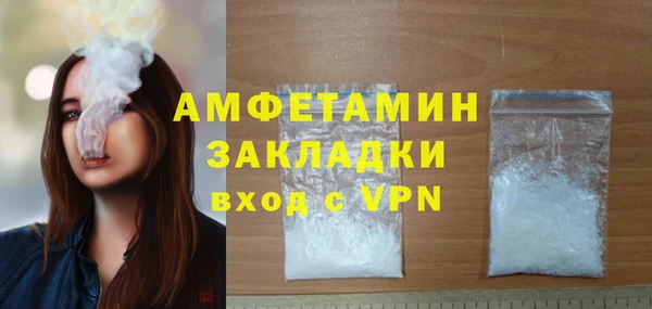 прущие грибы Михайловск