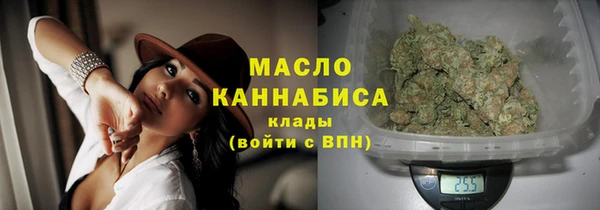 apvp Инсар