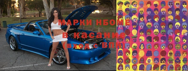 сатива Инта