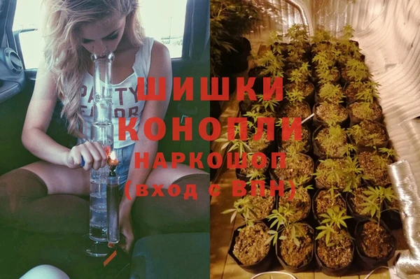 трава Зерноград