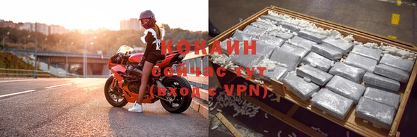 молекула духа Зеленодольск