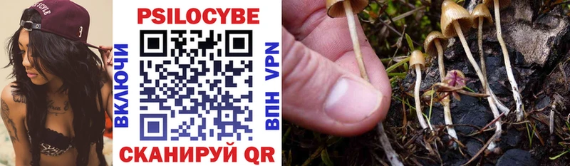 Галлюциногенные грибы GOLDEN TEACHER Углич