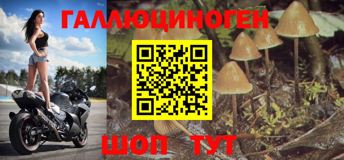 Галлюциногенные грибы прущие грибы Углич